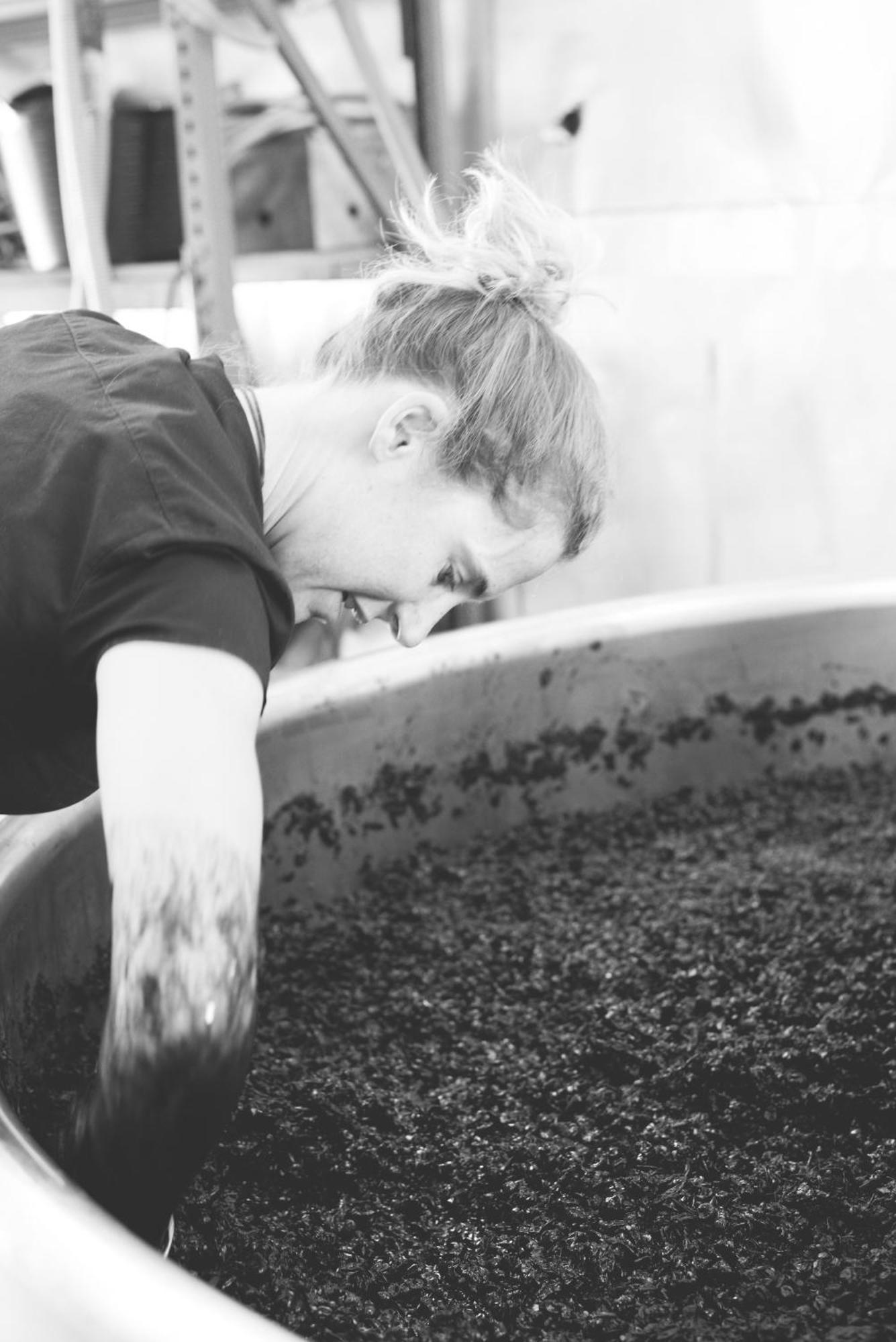فندق Tranquil Vale Vineyard Luskintyre المظهر الخارجي الصورة