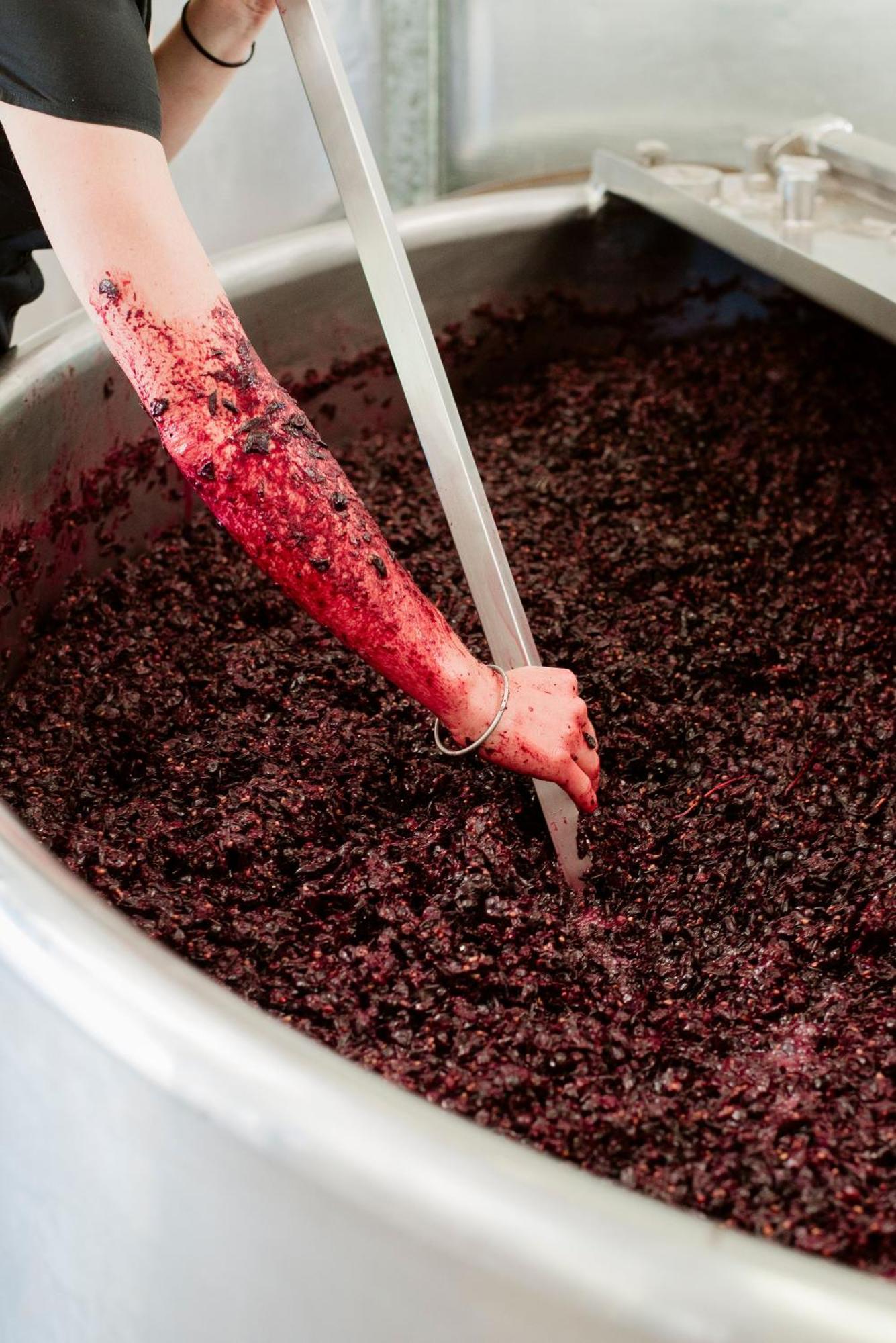 فندق Tranquil Vale Vineyard Luskintyre المظهر الخارجي الصورة