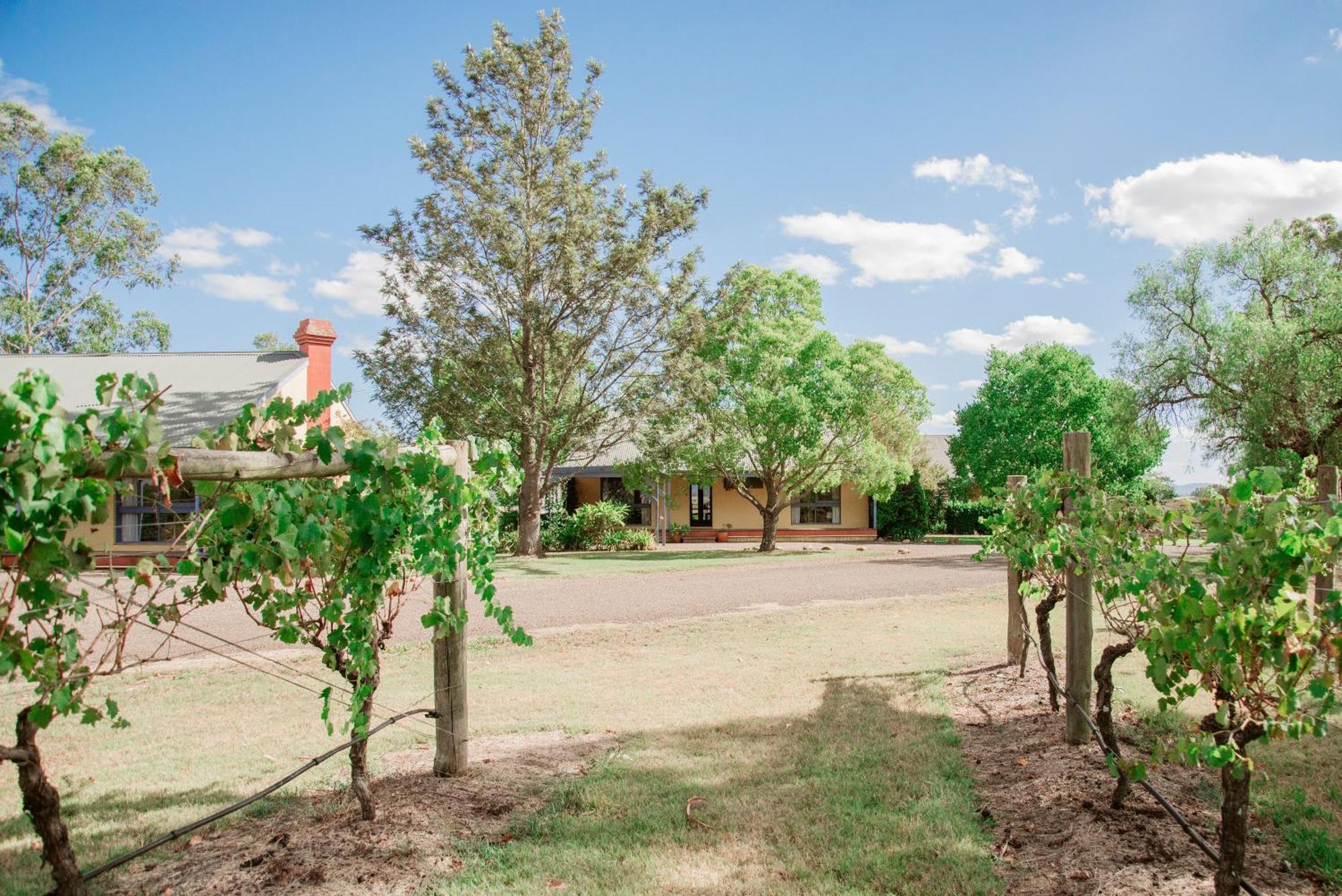 فندق Tranquil Vale Vineyard Luskintyre المظهر الخارجي الصورة