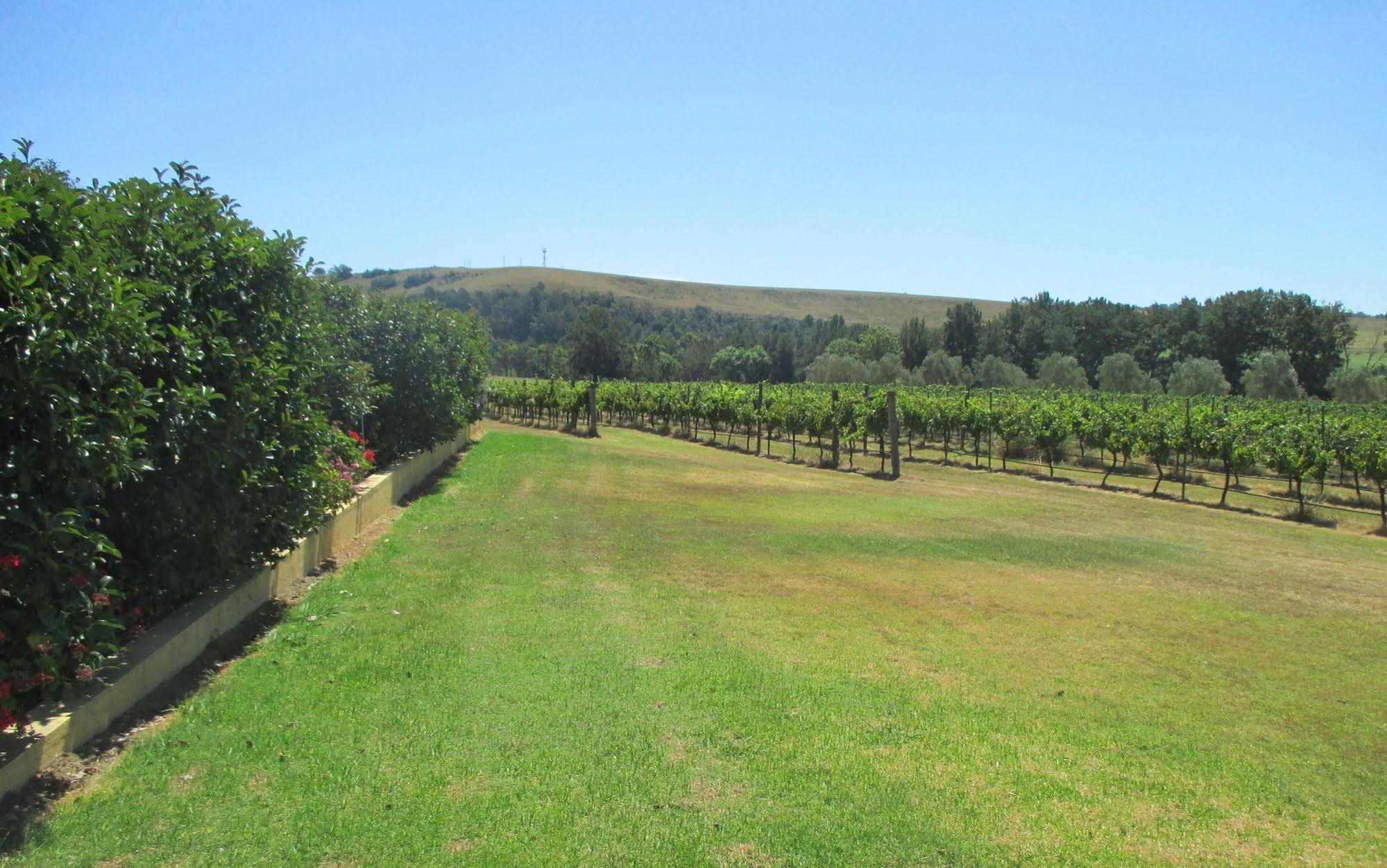 فندق Tranquil Vale Vineyard Luskintyre المظهر الخارجي الصورة